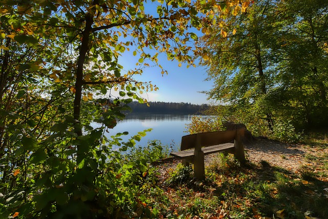 得深思的问 得深思的问