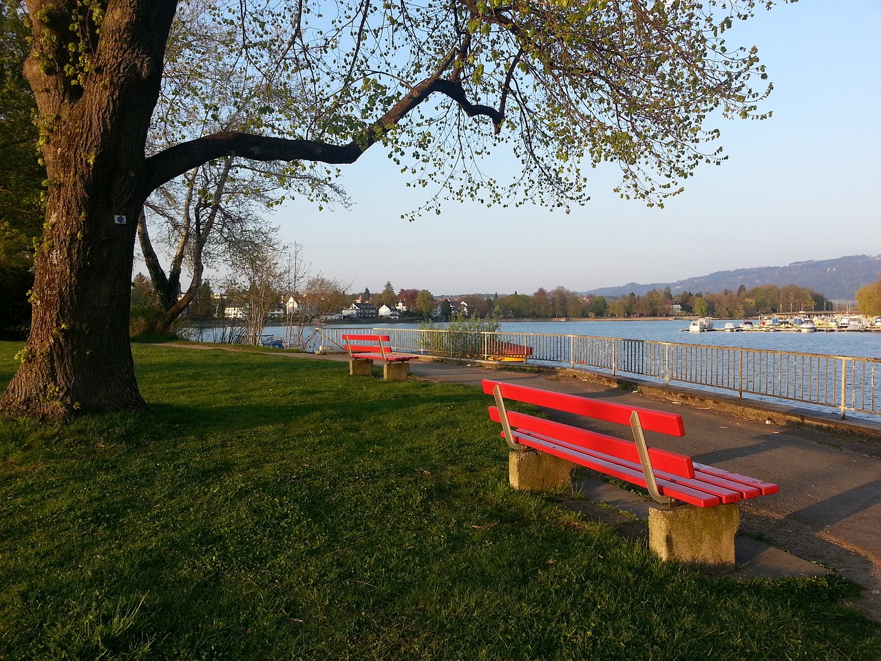 辛斯的新事 辛斯的新事