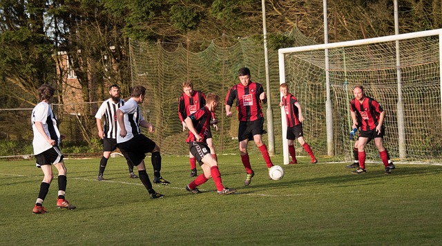 对性的比赛 对性的比赛