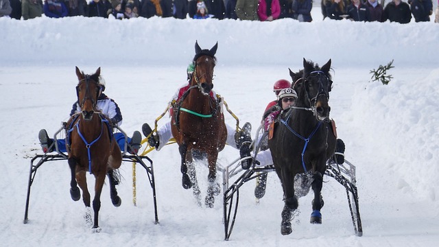 节仍保持了 节仍保持了