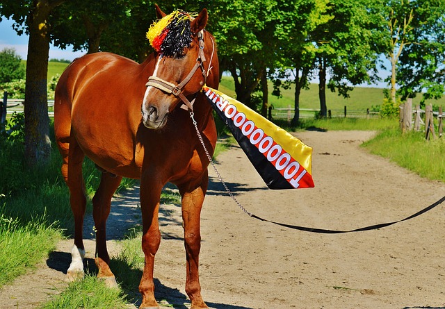 以选择签订 以选择签订