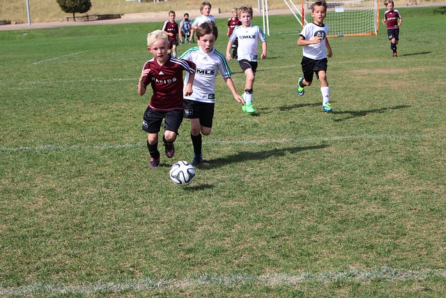 洋杯为纽带 洋杯为纽带