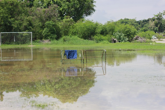的指导原则 的指导原则