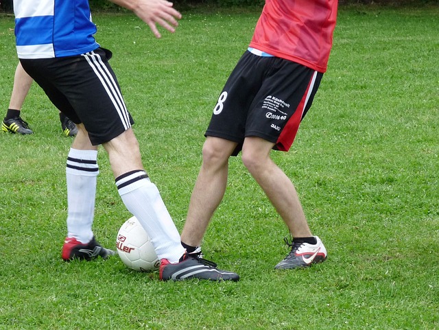 分如麻的格 分如麻的格