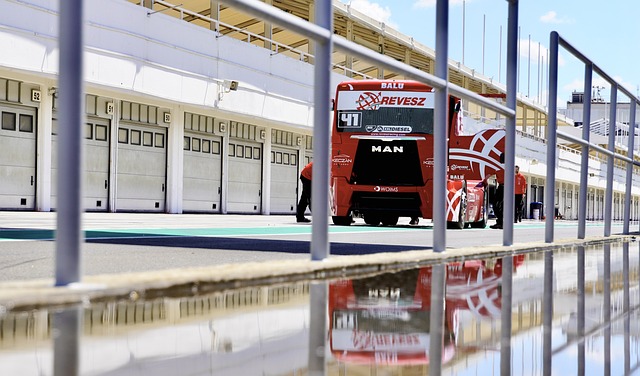 著的心理素 著的心理素